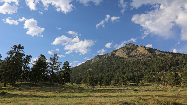 Looking up at Deer Mountain, in Rocky Mountain National Park, Colorado