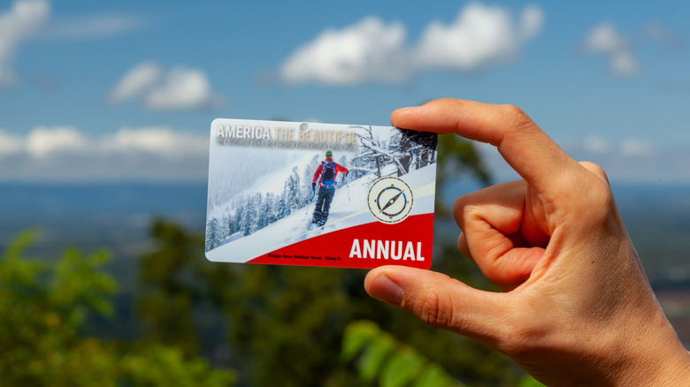 Person holding an 'America the beautiful' annual pass