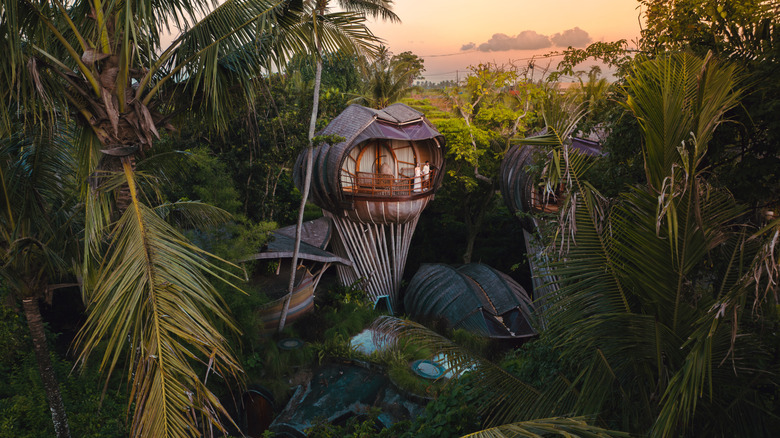 The Avatar Tree House, nestled in lush jungle, at Ulaman Eco Luxury Resort in Bali, Indonesia