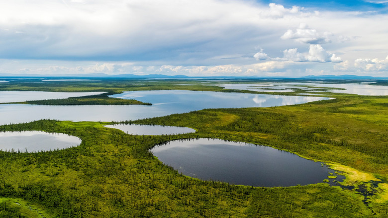the Old Crow Flats section of Vuntut National Park, which contains thousands of shallow lakes