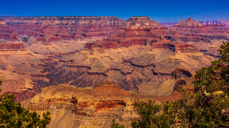 a view of the South Rim of Grand Canyon National Park in Arizona