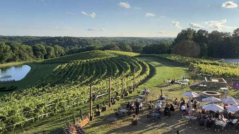 Montaluce winery and outdoor patio during summer event.