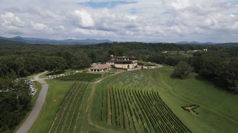 Aerial view of Montaluce Winery & Restaurant vineyard and forest.