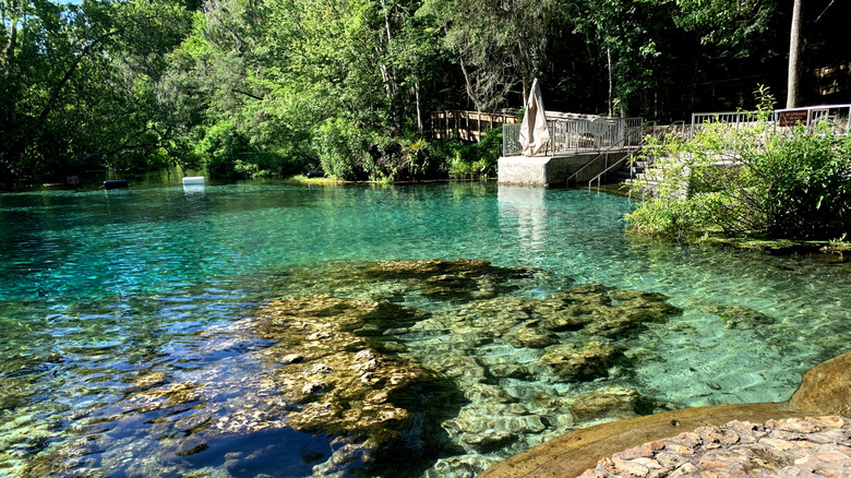 Blue Hole at Ichetucknee Springs State Park