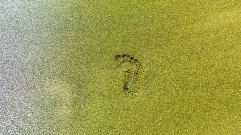 Footprint in green sand 