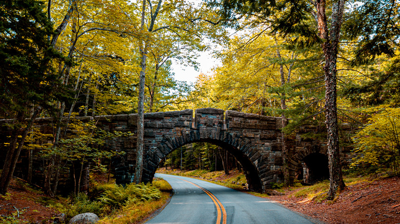 stone bridge road acadia park