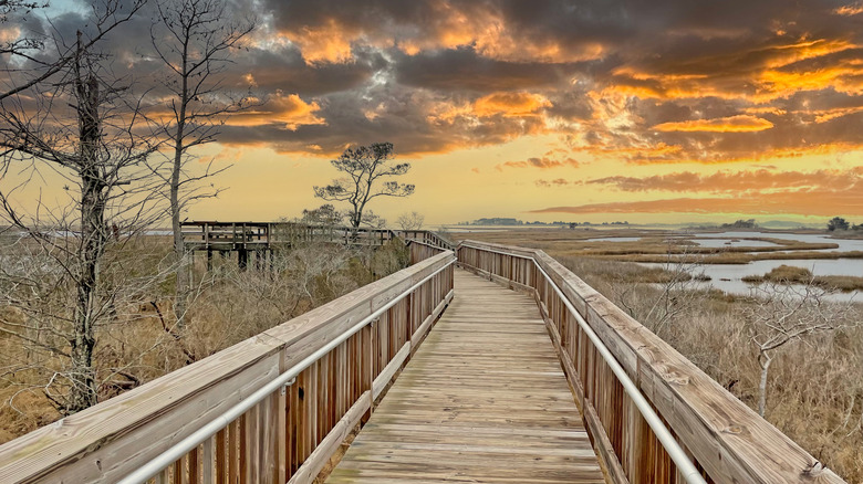 Dune boardwalk at sunset