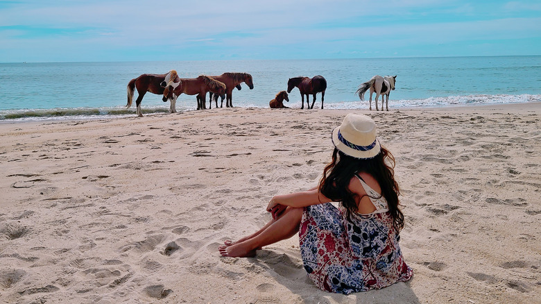 Woman watching horses on beach