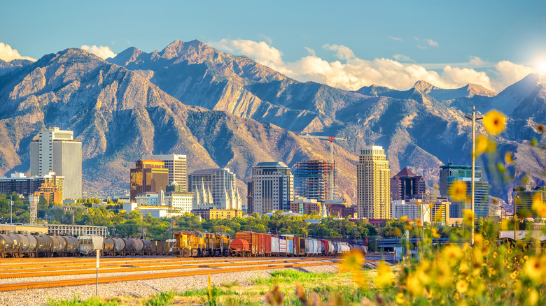 Freight trains, Salt Lake City, mountains and wildflowers