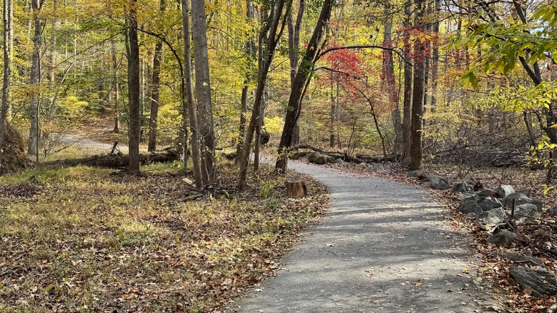 A paved path at Fairland Recreational Park, Maryland