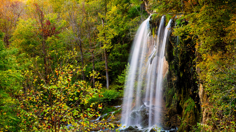 View of Falling Spring Waterfall and green yellow forest trees in rural countryside autumn in Covington, Virginia