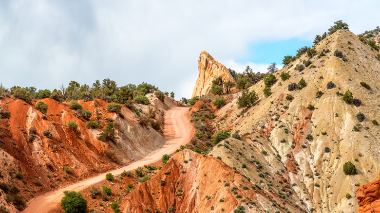 Cottonwood Canyon, Utah