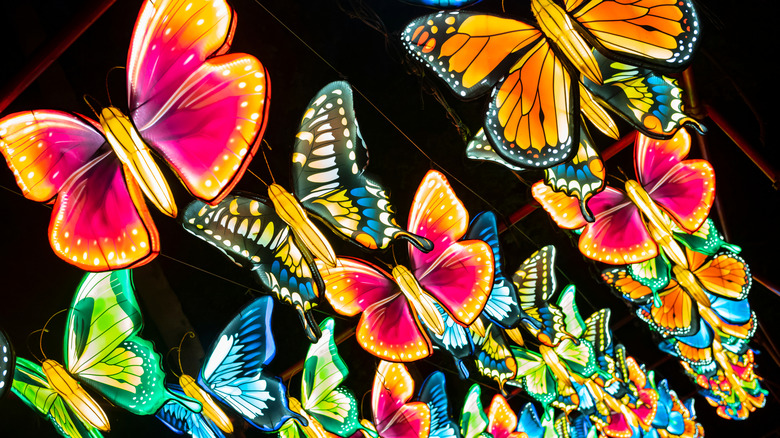 Illuminated butterflies at the Asian Lantern Festival at Central Florida Zoo and Botanical Gardens in Sanford, Florida.