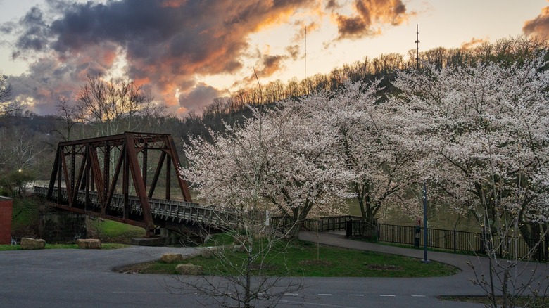 A view of the Deckers Creek Rail Trail, West Virginia
