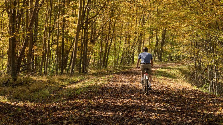 Deckers Creek Rail Trail, West Virginia