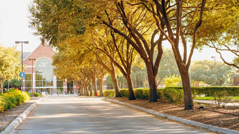 Farmers Branch City Hall stands at the end of a tree-lined street on a sunny day in Texas