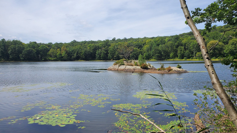 The view from the Indian Cliffs hike at Farny State Park in New Jersey