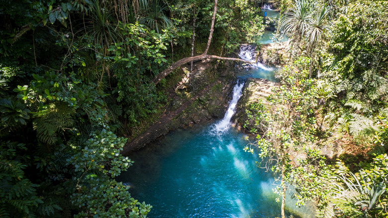 Colo-I-Suva Forest Park pools