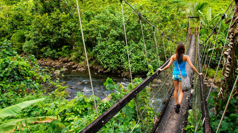 Hiker on Lavena Coastal Walk