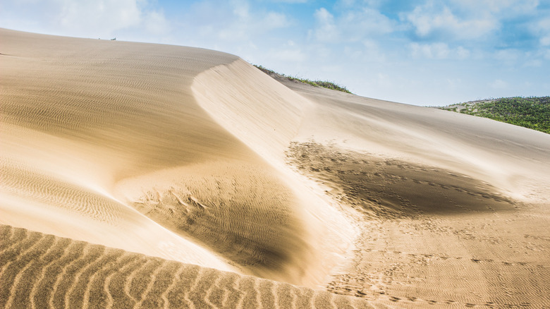 Sigatoka Sand Dunes Heritage Park