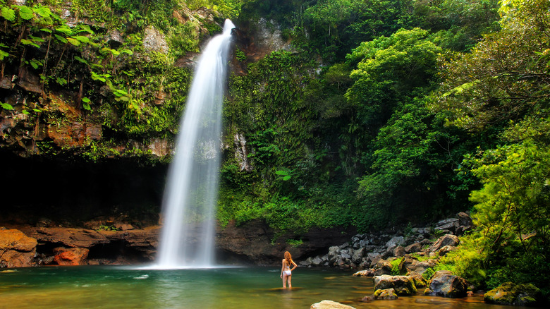 Tavoro Waterfall in Taveuni, Fiji