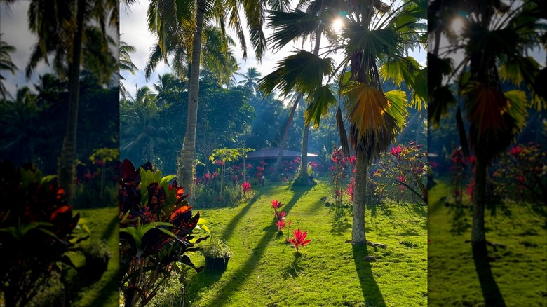 Landscape of Kadavu Island, Fiji