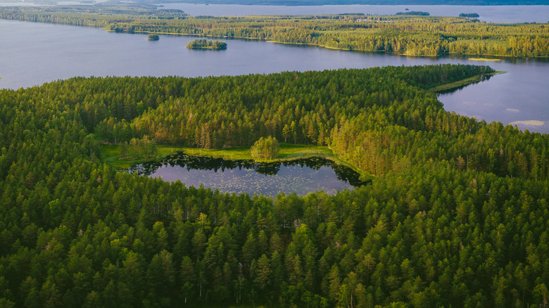 islands and archipelagoes in Lake Saimaa, Finland