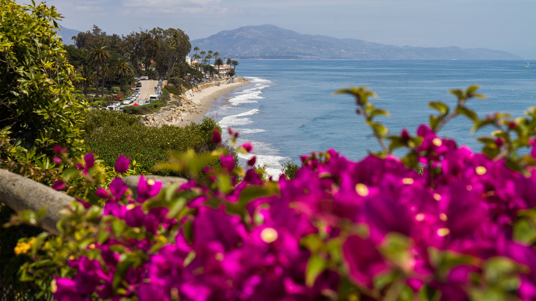 view of beach from balcony