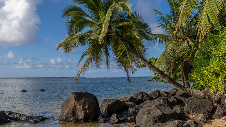 Anini Beach on Kauai