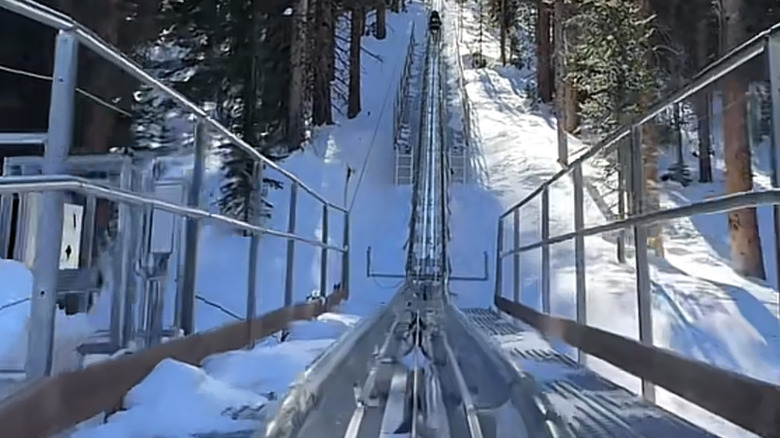 Alpine coaster