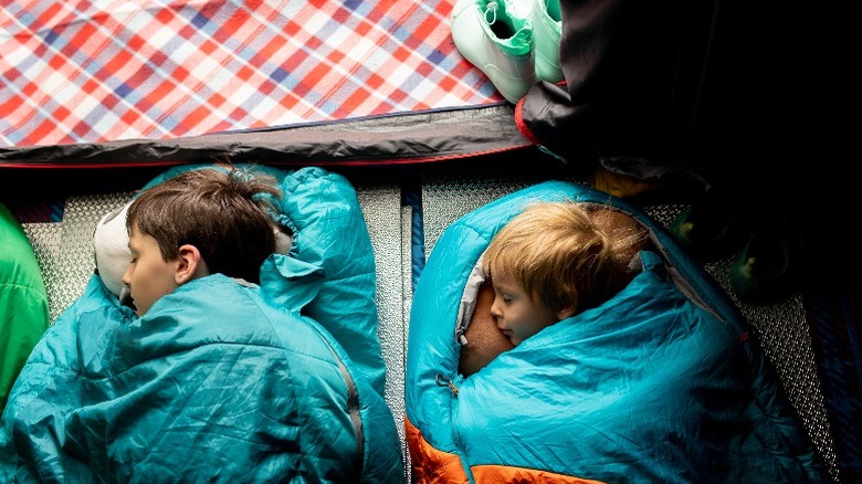 kids in sleeping bag