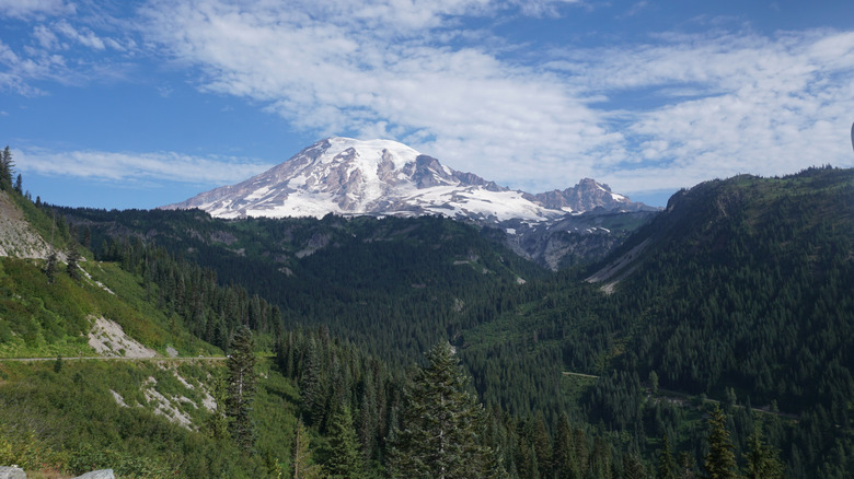 Mt. Rainer, snow, valley, summer, blue sky