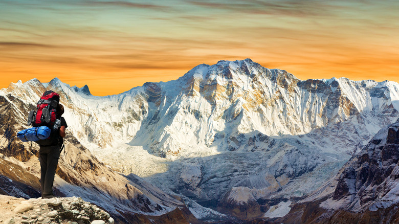 Hiker with red backpack stands on rocky ledge facing the white slopes of Annapurna mountain