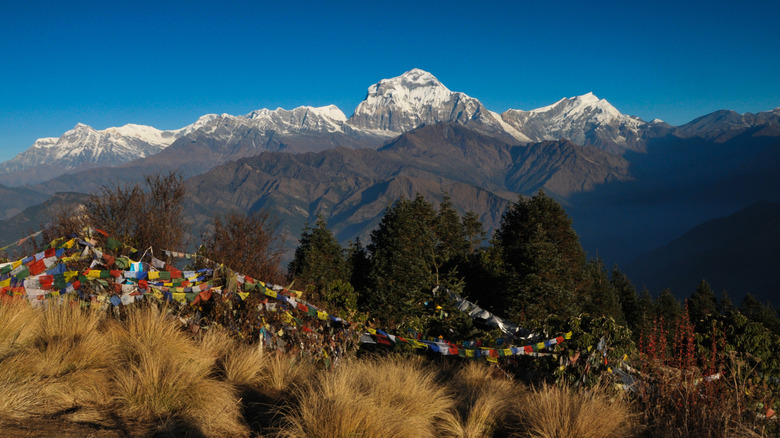 Strings of colorful flags hang from trees on a mountain slope with the Dhaulagiri massif in the distance