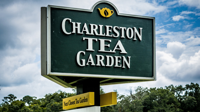 Charleston Tea Garden sign on the farm