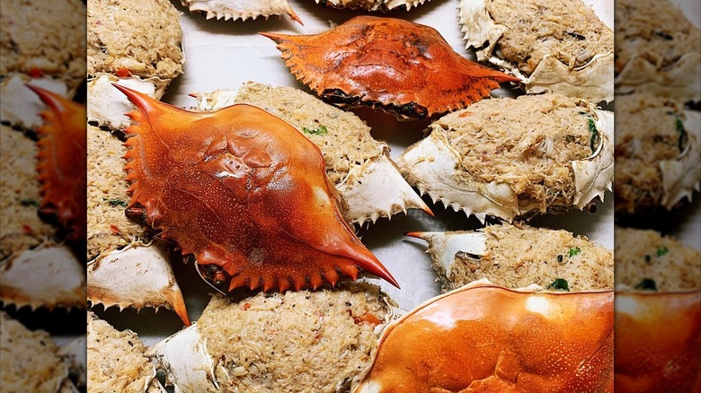 A spread of deviled crabs in their shells
