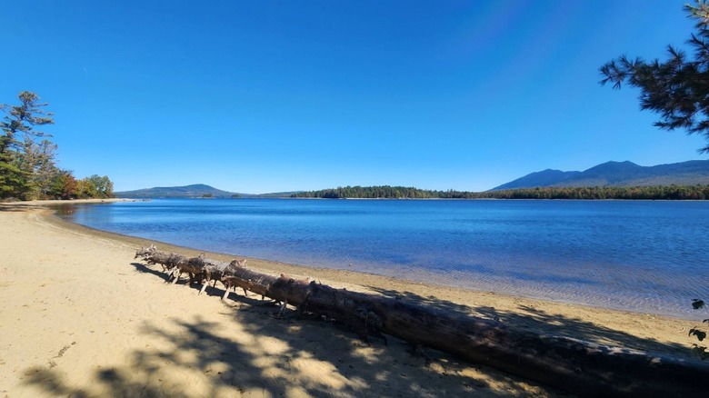 A sandy beach overlooks Flagstaff Lake with a long fallen log on the shore and the dark blue waters leading to the Bigelow Mountain range beyond.