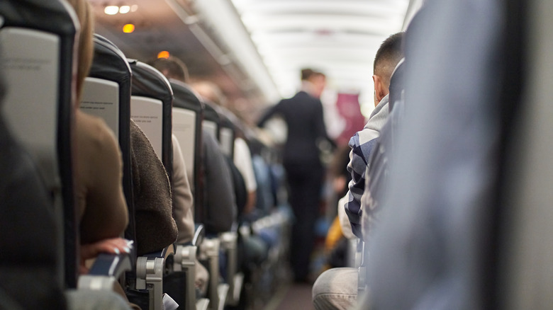 flight attendant on plane
