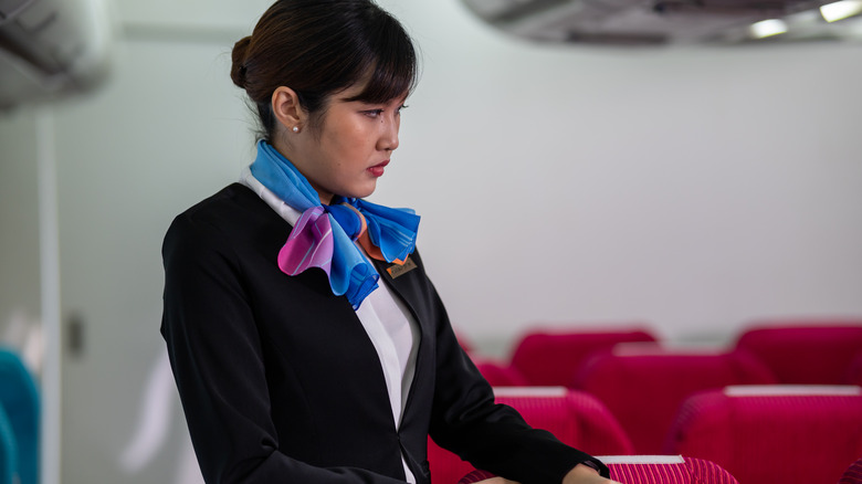 Flight attendant airplane cabin