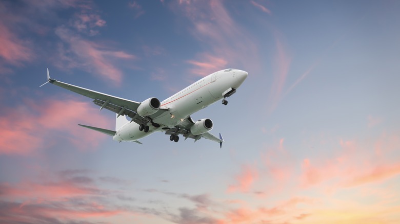 airplane in the sky