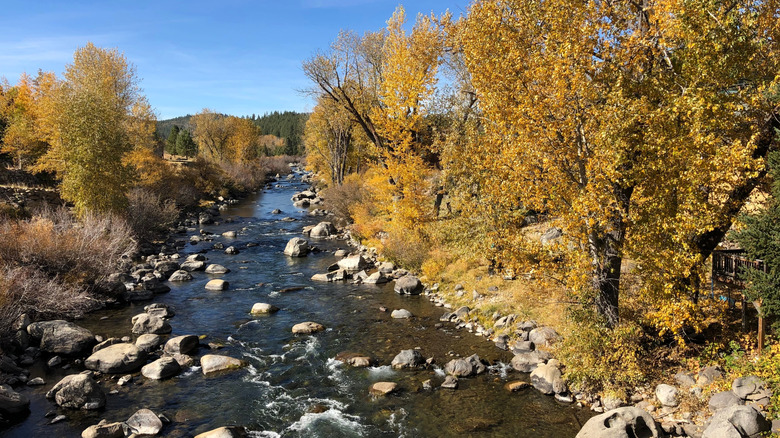 An overview of the Truckee River
