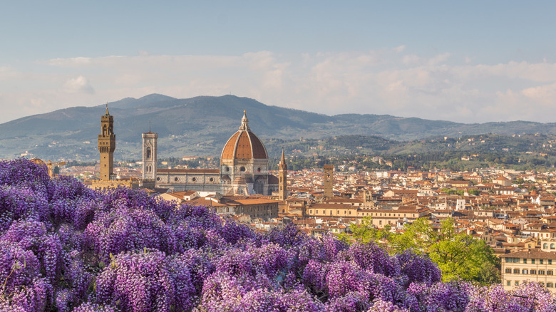 Purple flowers in front of a view of Florence, Italy