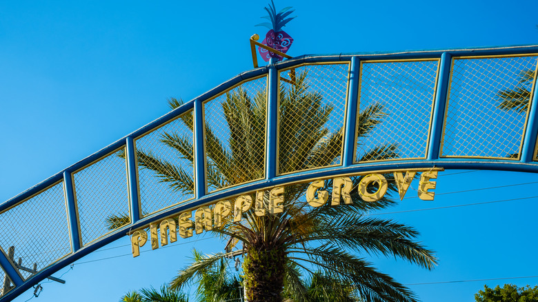 Delray Beach's Pineapple Grove district