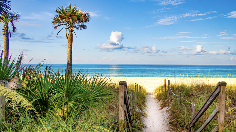 Beach on Florida panhandle