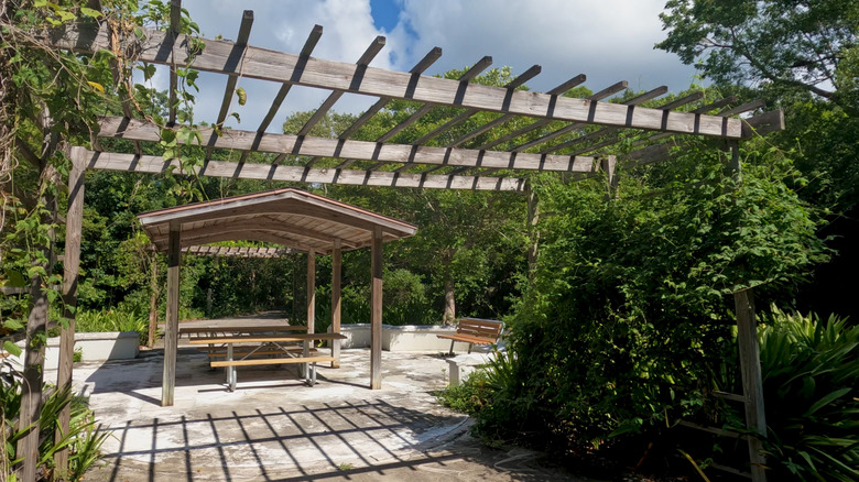 Dagny Johnson park, Key Largo