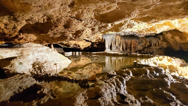 Illuminated caves at Florida Caverns State Park