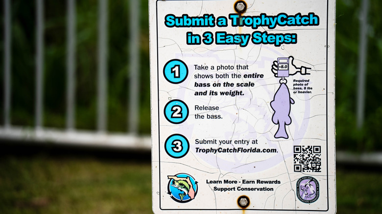Picture of Trophy Catch sign near boat ramp