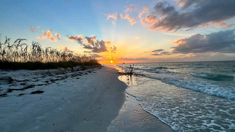 View of gorgeous sunset at Shell Key Preserve with the tide coming in on the sand