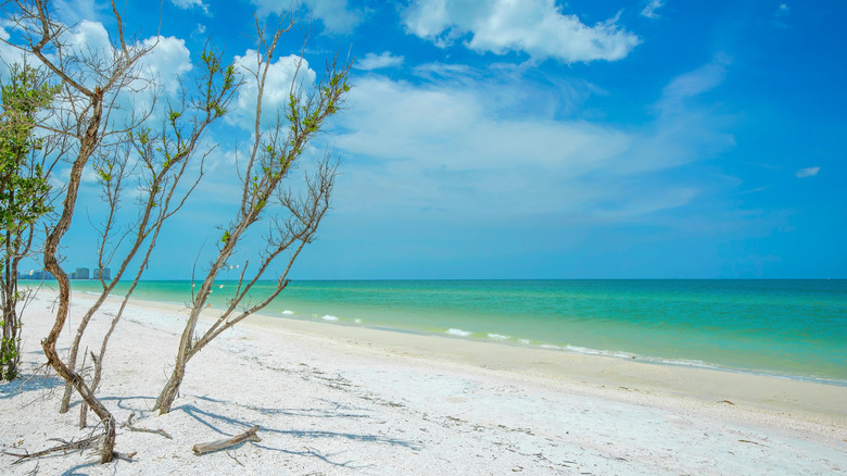 Beautiful white sand contrasting against bright blue water and blue sky on Tigertail Beach at Marco Island