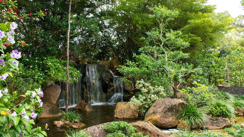 Garden at Morikami Museum